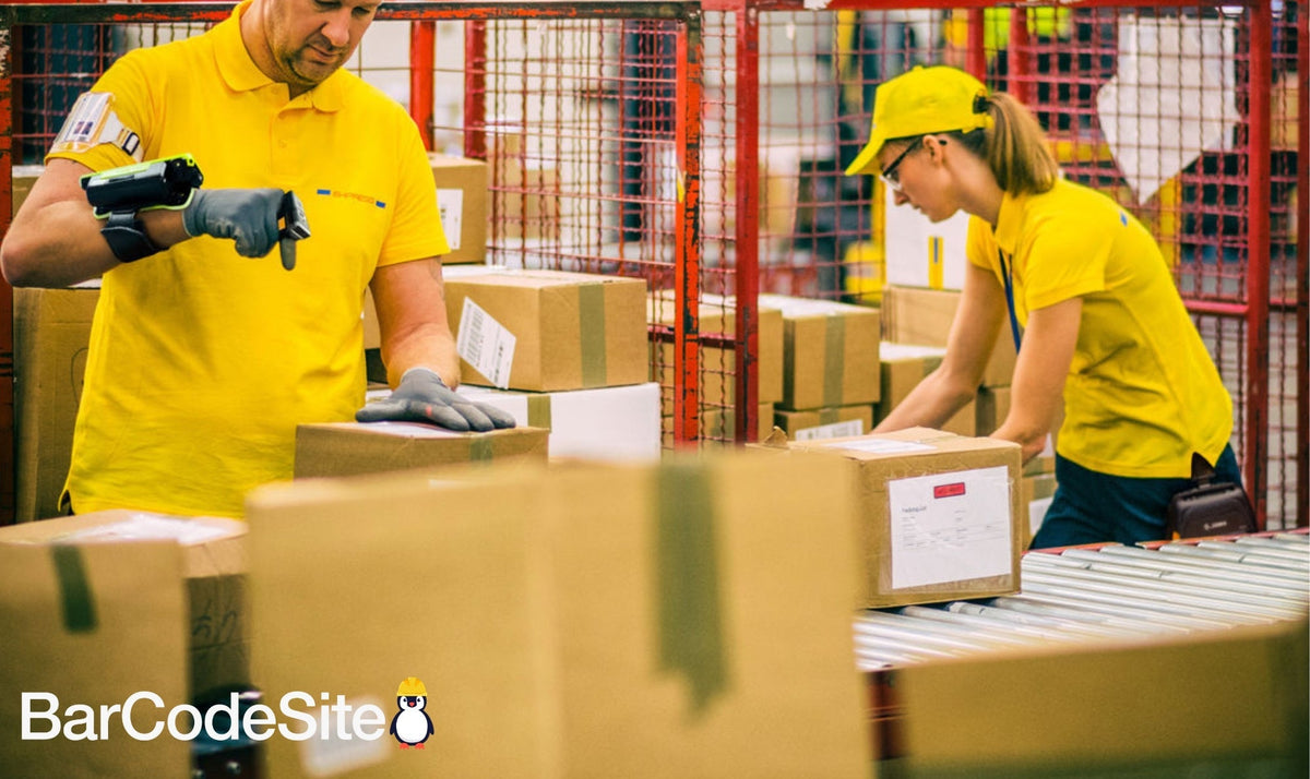 Zebra Wearables: Boost Productivity with Agile, Efficient, Hands-Free Logistics